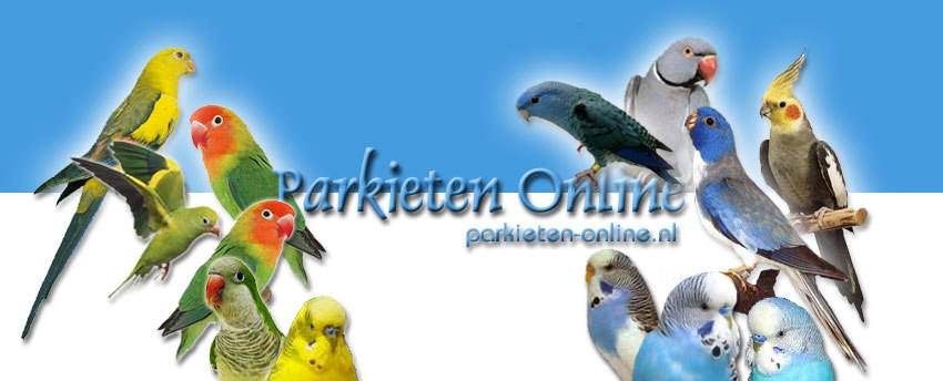 Bloody lezer Winderig Parkieten Online